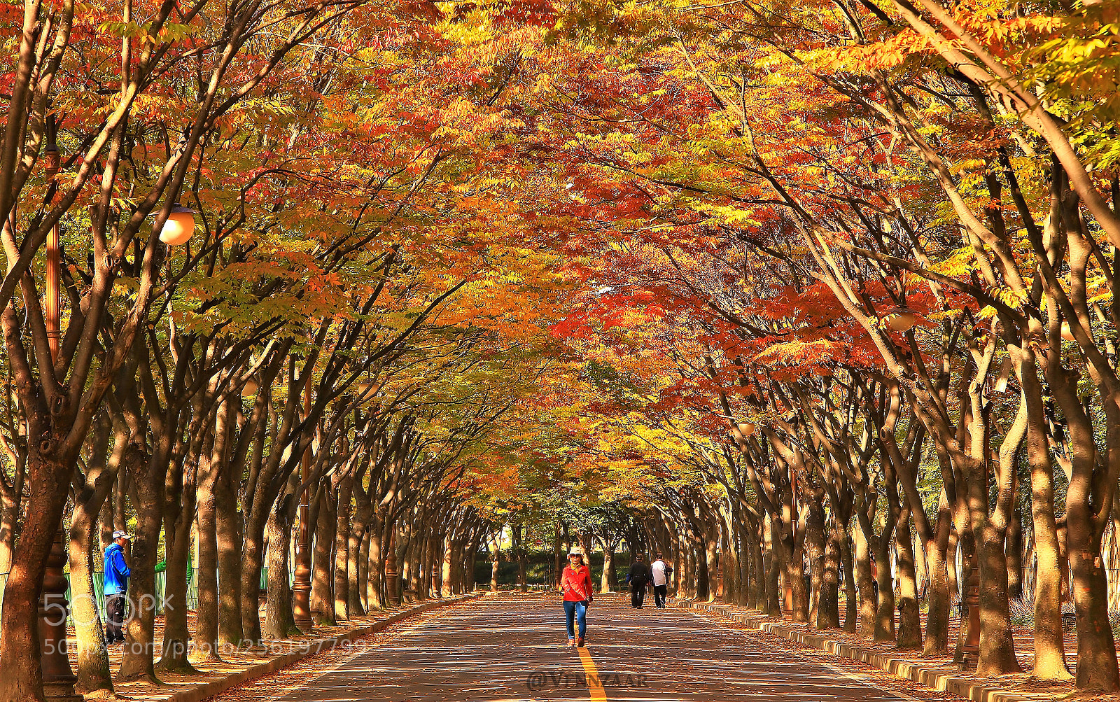 Canon EOS 6D sample photo. Incheon city photography