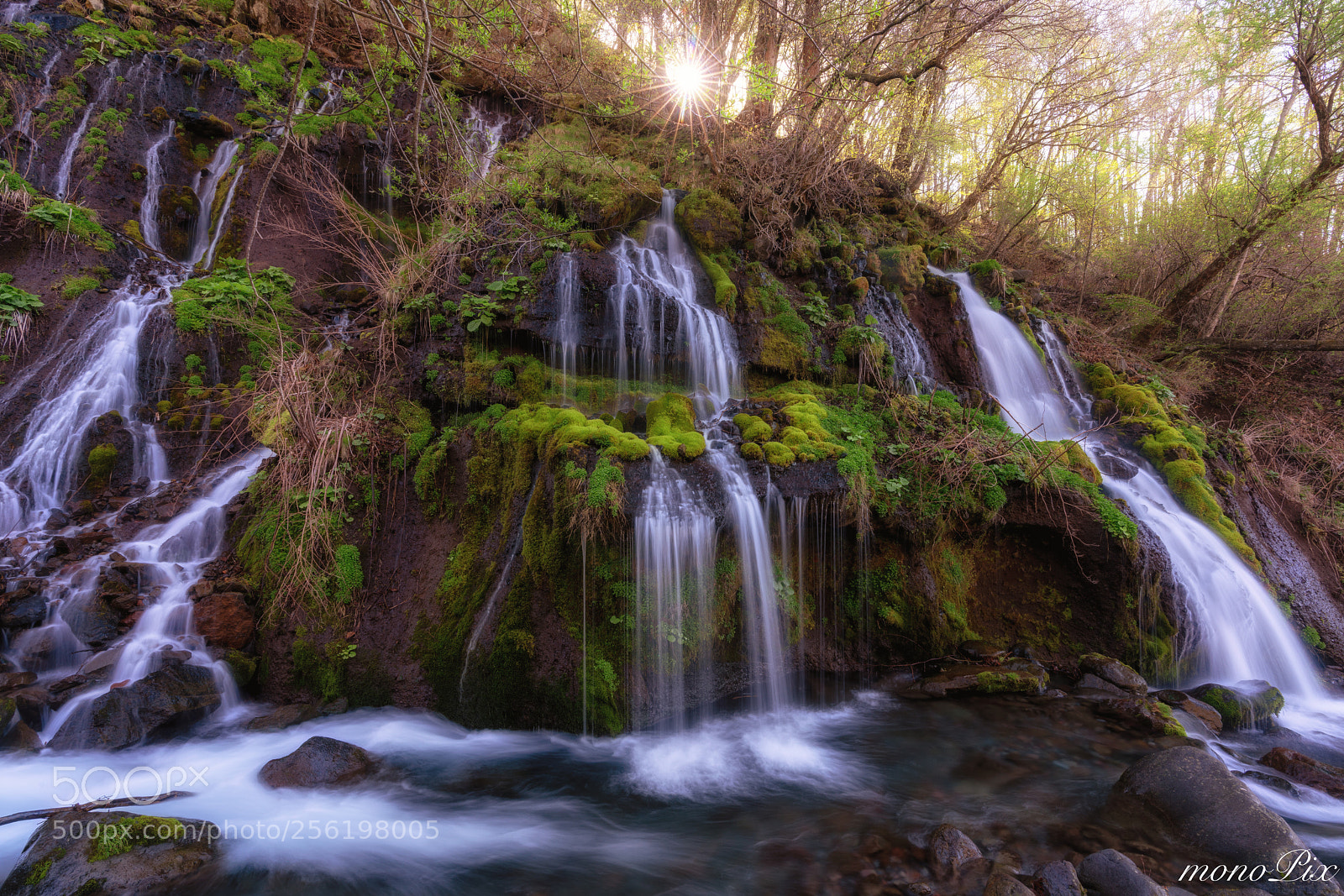 Sony a7R III sample photo. Mossy waterfall photography