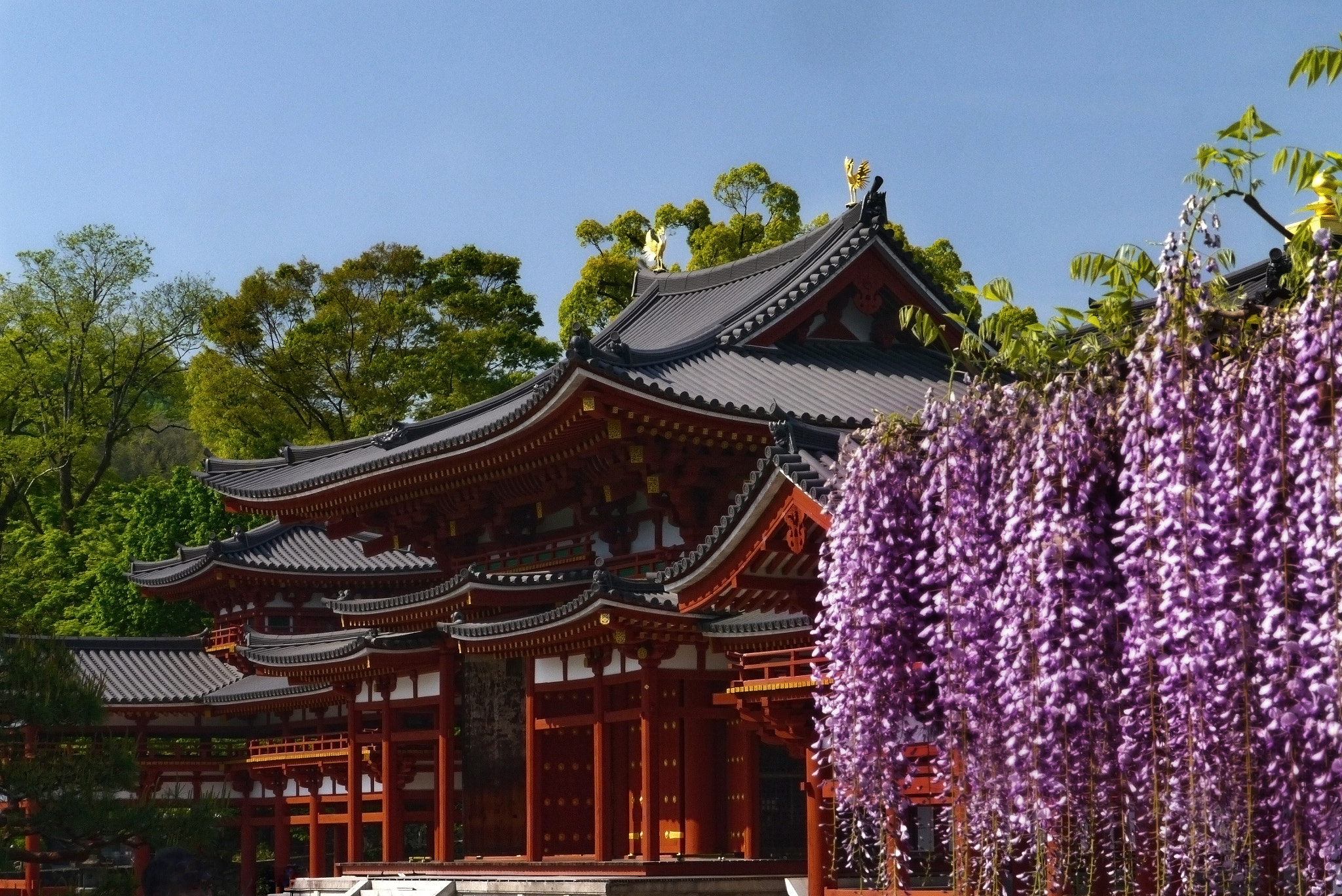 Panasonic Lumix DMC-GX1 sample photo. Spring in kyoto photography