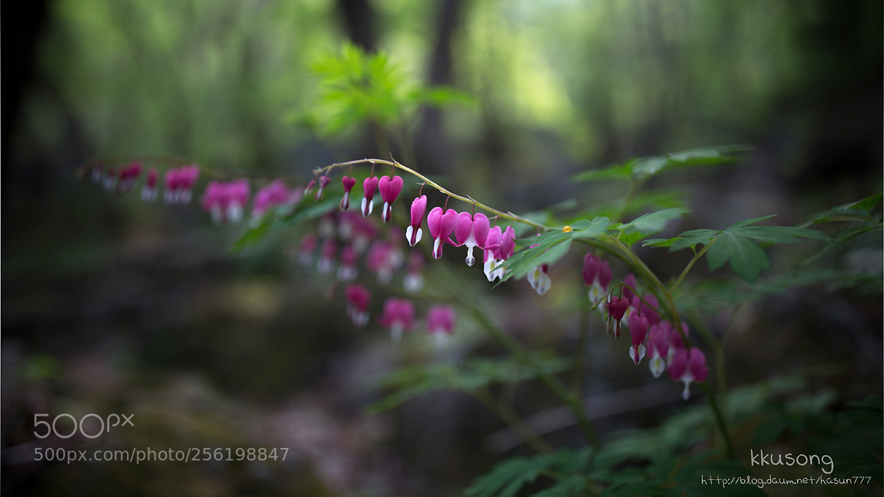 Canon EOS 6D sample photo. Untitled photography