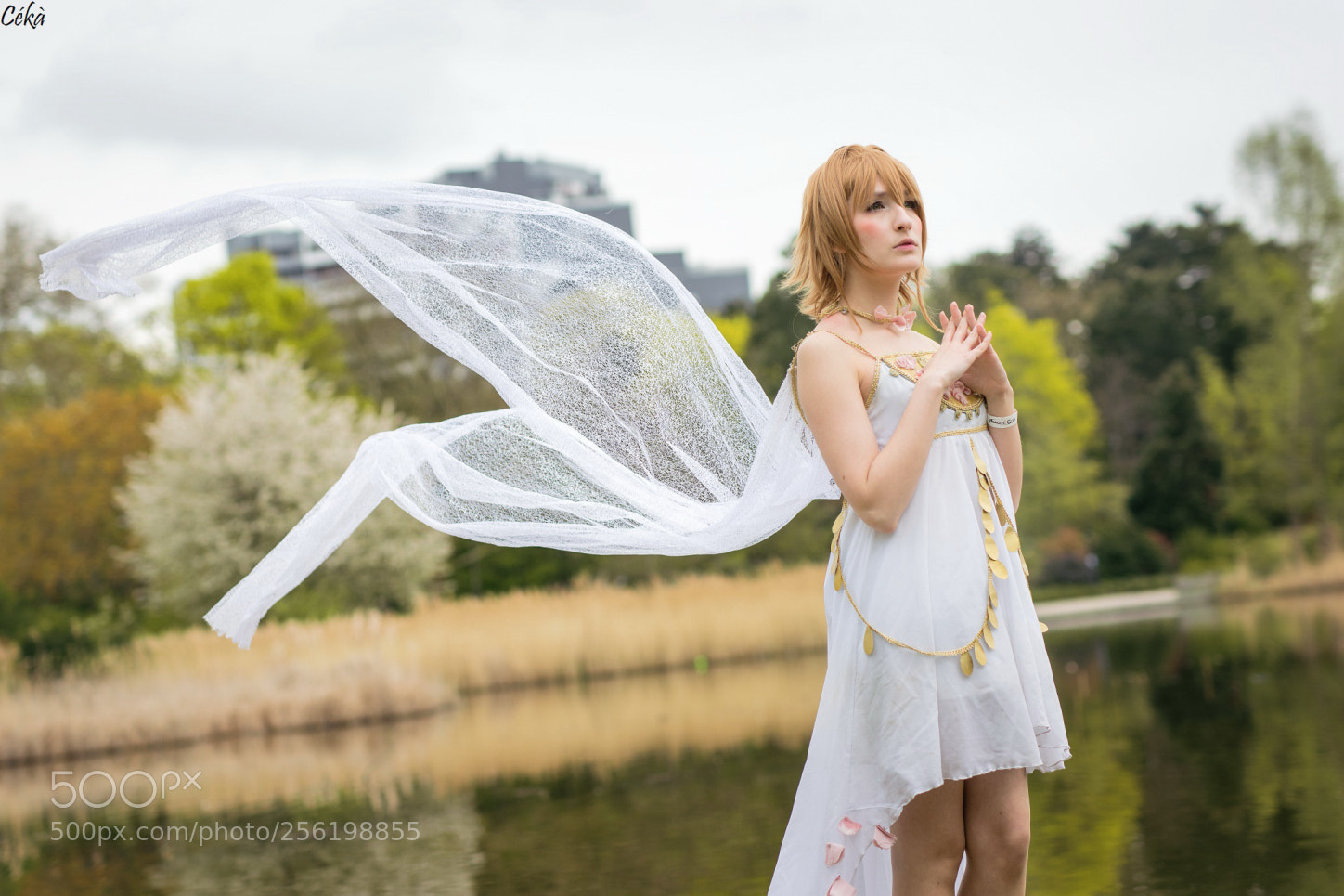 Nikon D5200 sample photo. Dans le vent photography