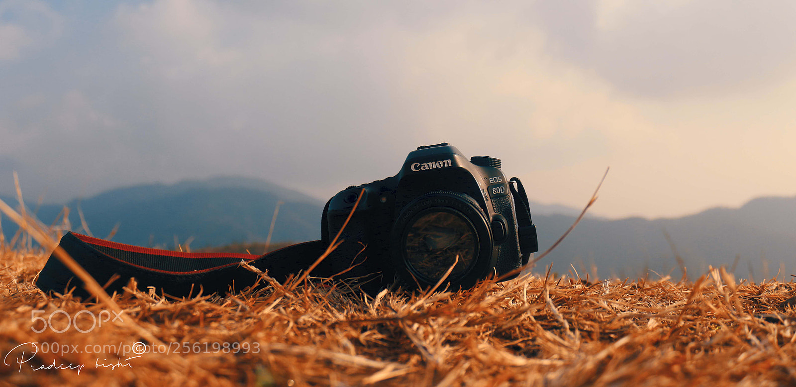 Canon EOS 700D (EOS Rebel T5i / EOS Kiss X7i) sample photo. Canon lover photography