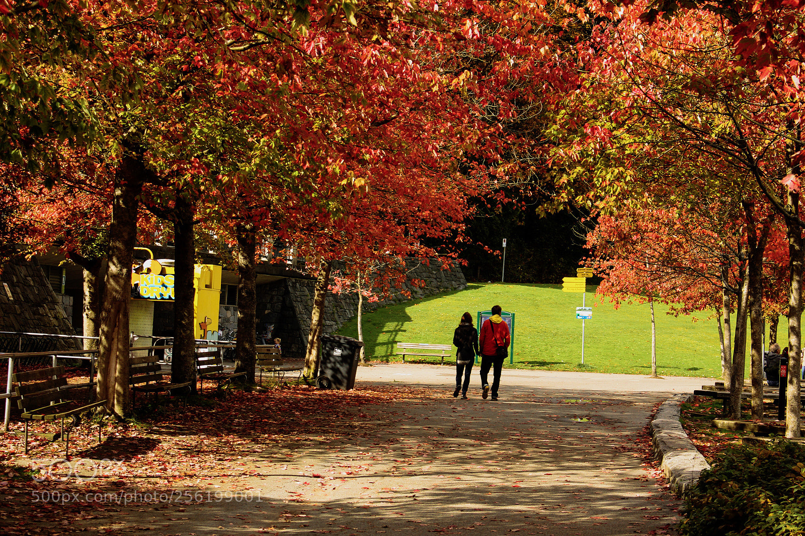 Canon EOS 700D (EOS Rebel T5i / EOS Kiss X7i) sample photo. Stanley park photography