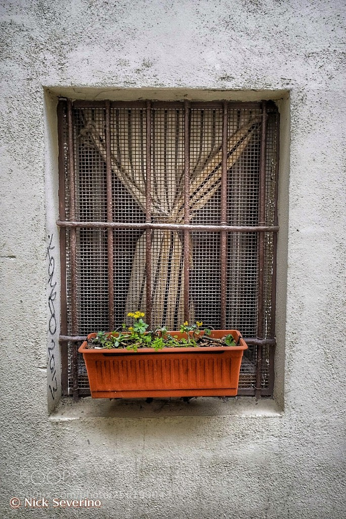 Sony a7R sample photo. Window photography