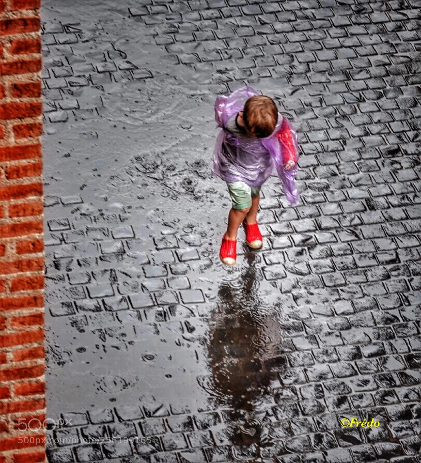 Sony Cyber-shot DSC-RX10 IV sample photo. A rainy day  photography