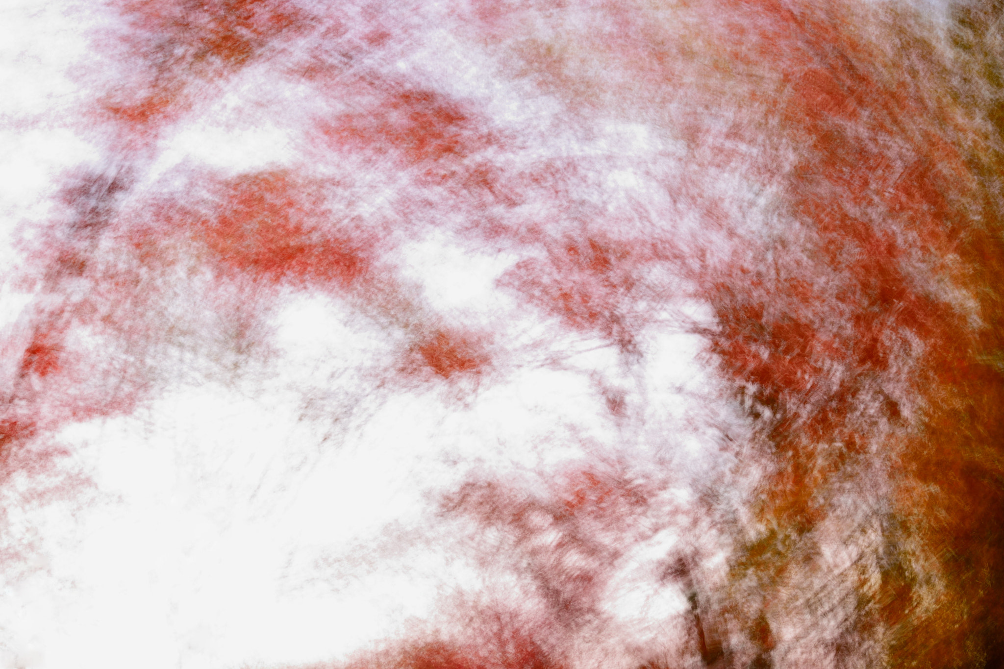 Nikon AF-S Nikkor 50mm F1.8G sample photo. Abstraction: autumn 2 photography