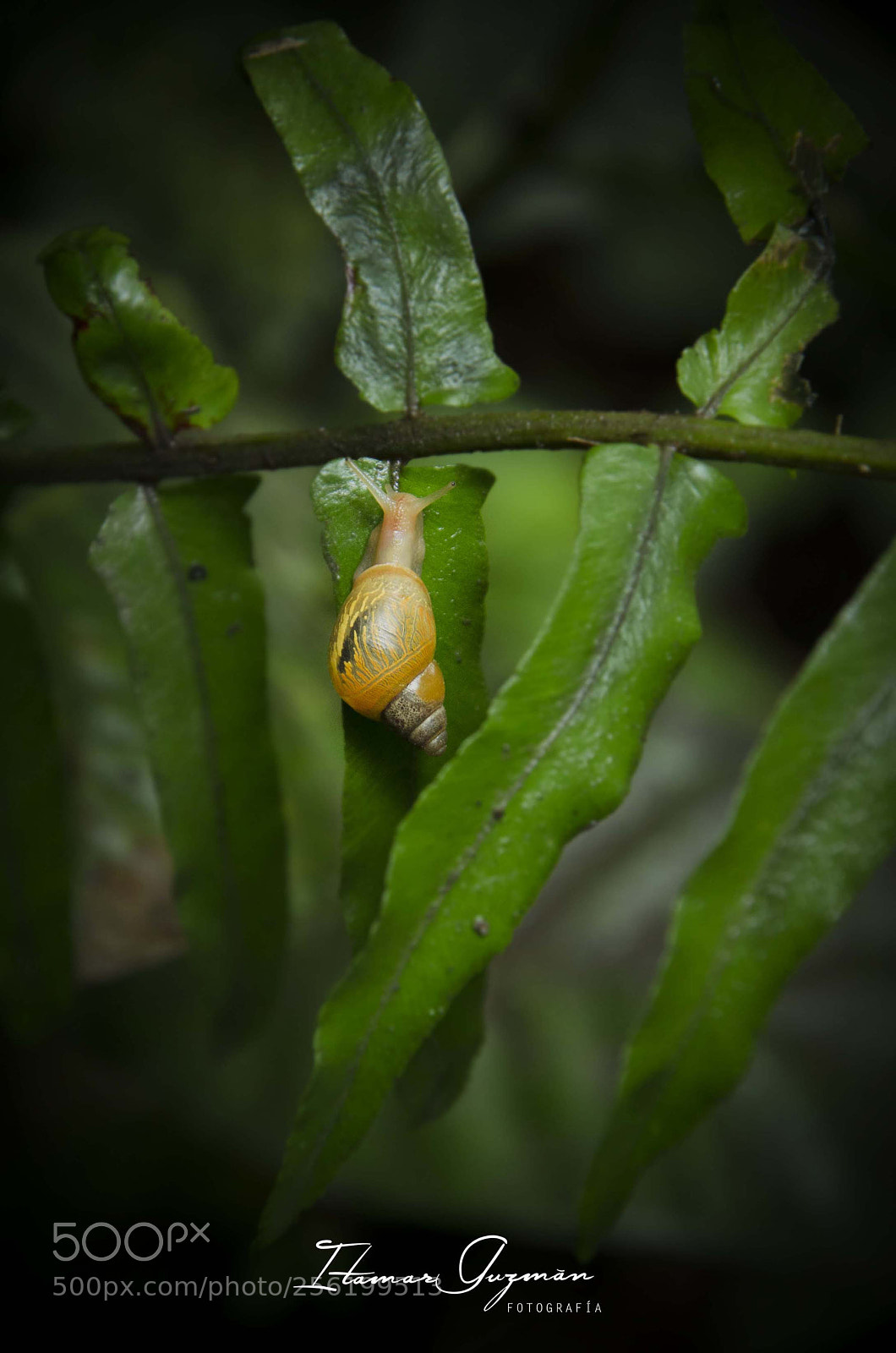 Nikon D7000 sample photo. Laguna mágica photography