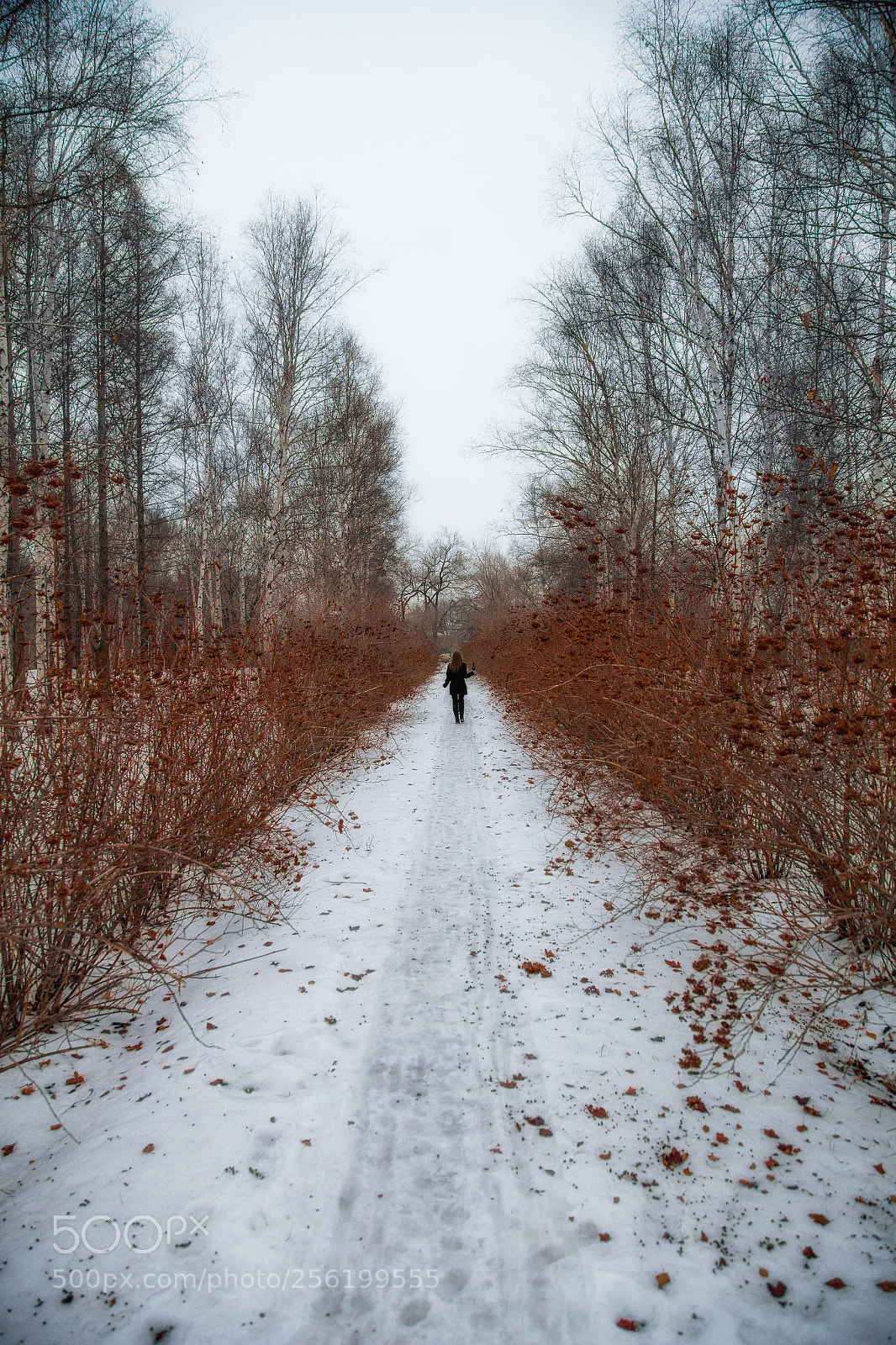 Canon EOS 6D sample photo. Огонь заблудшей души. photography
