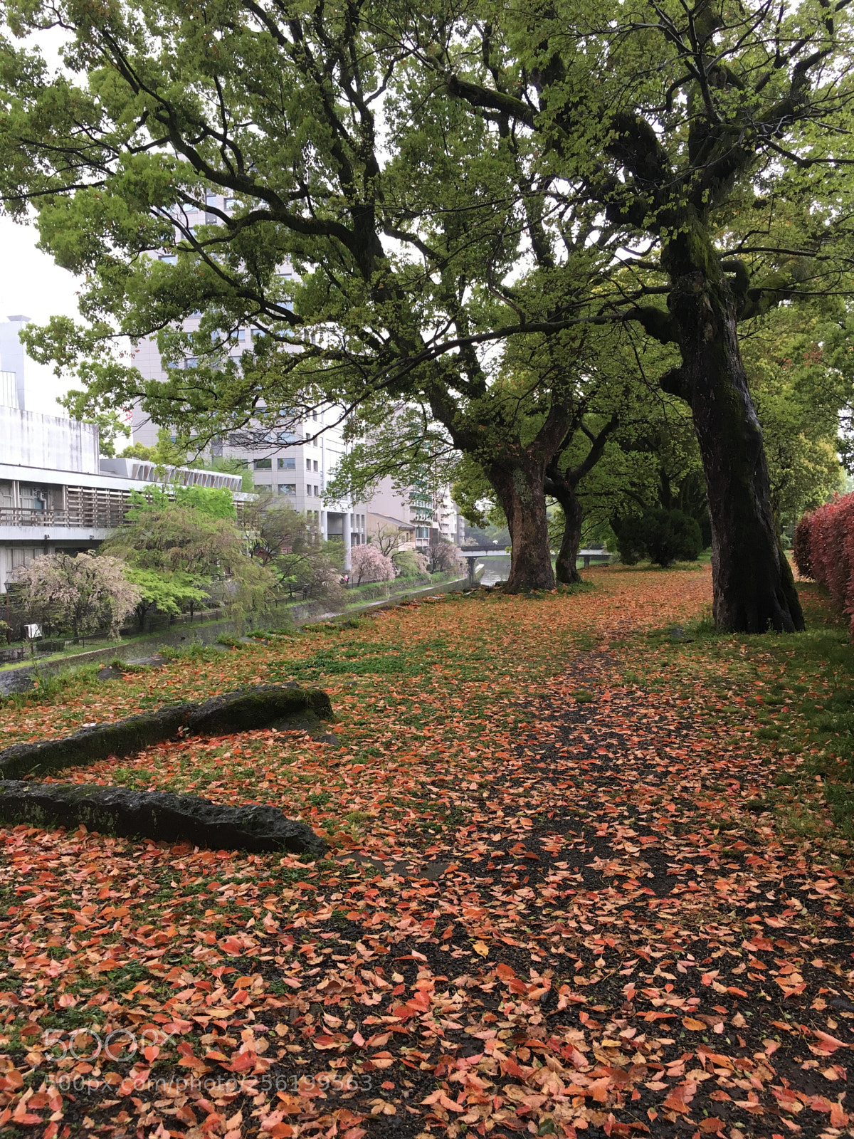 Apple iPhone SE sample photo. 轮回 photography