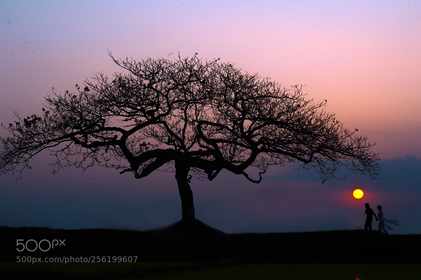 Nikon D700 sample photo. Sunset photography