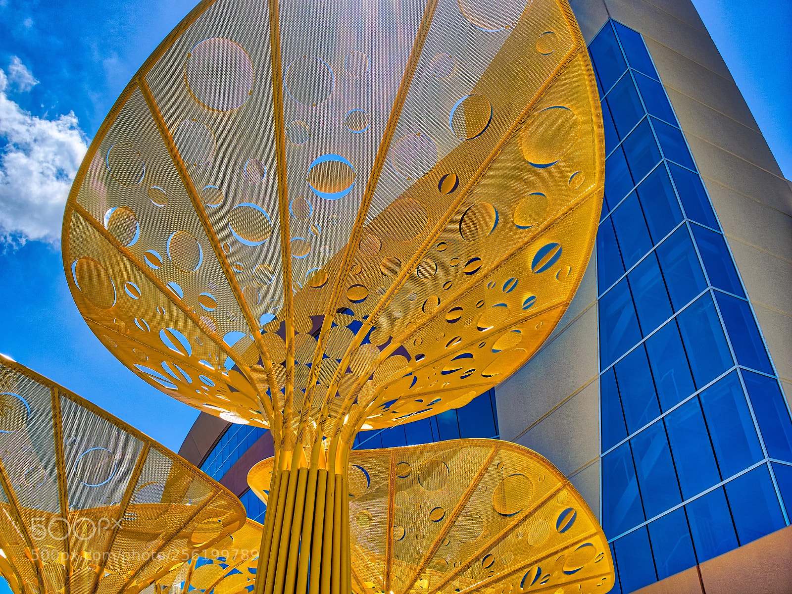 Olympus OM-D E-M1 sample photo. Curves, lines, yellow, blue photography