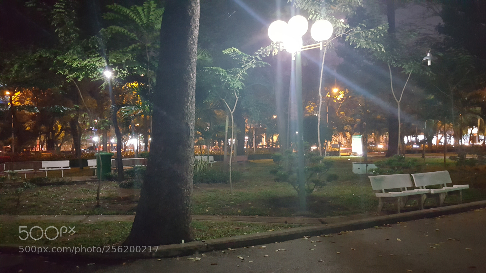 Samsung Galaxy Note5 sample photo. Park.jpg photography