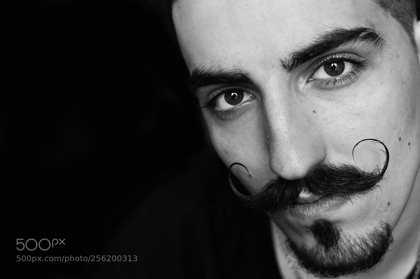 Canon EOS 60D sample photo. Daniel photography