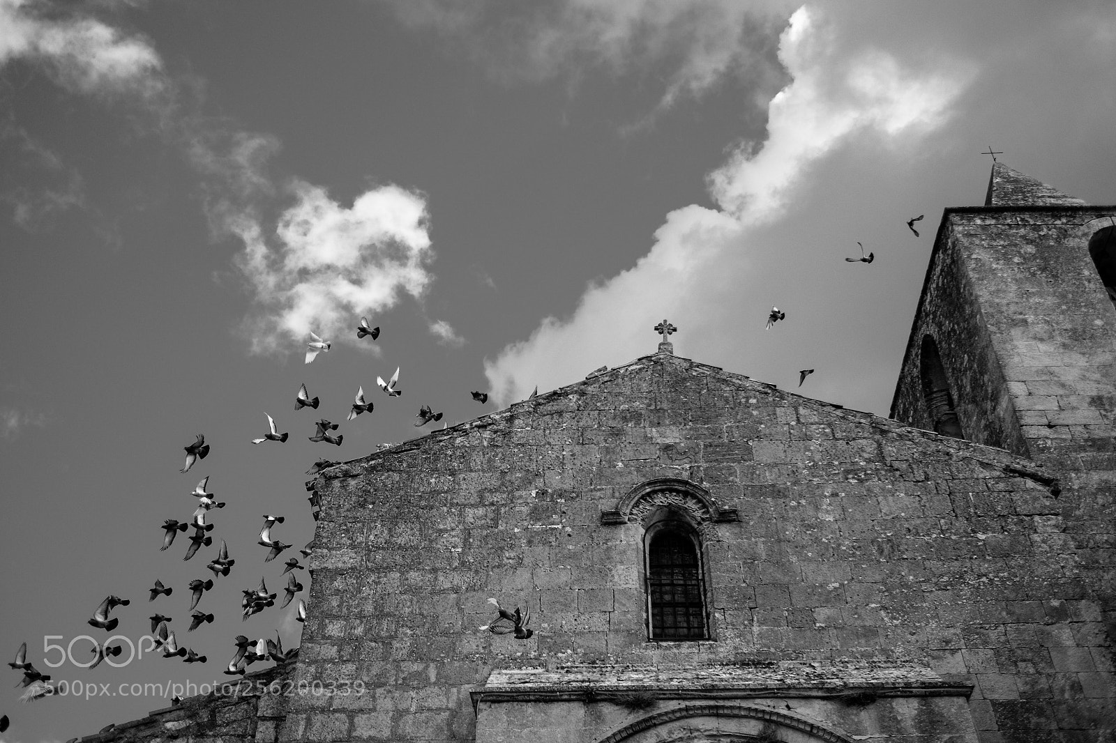 Fujifilm X-T10 sample photo. For whom the bell photography