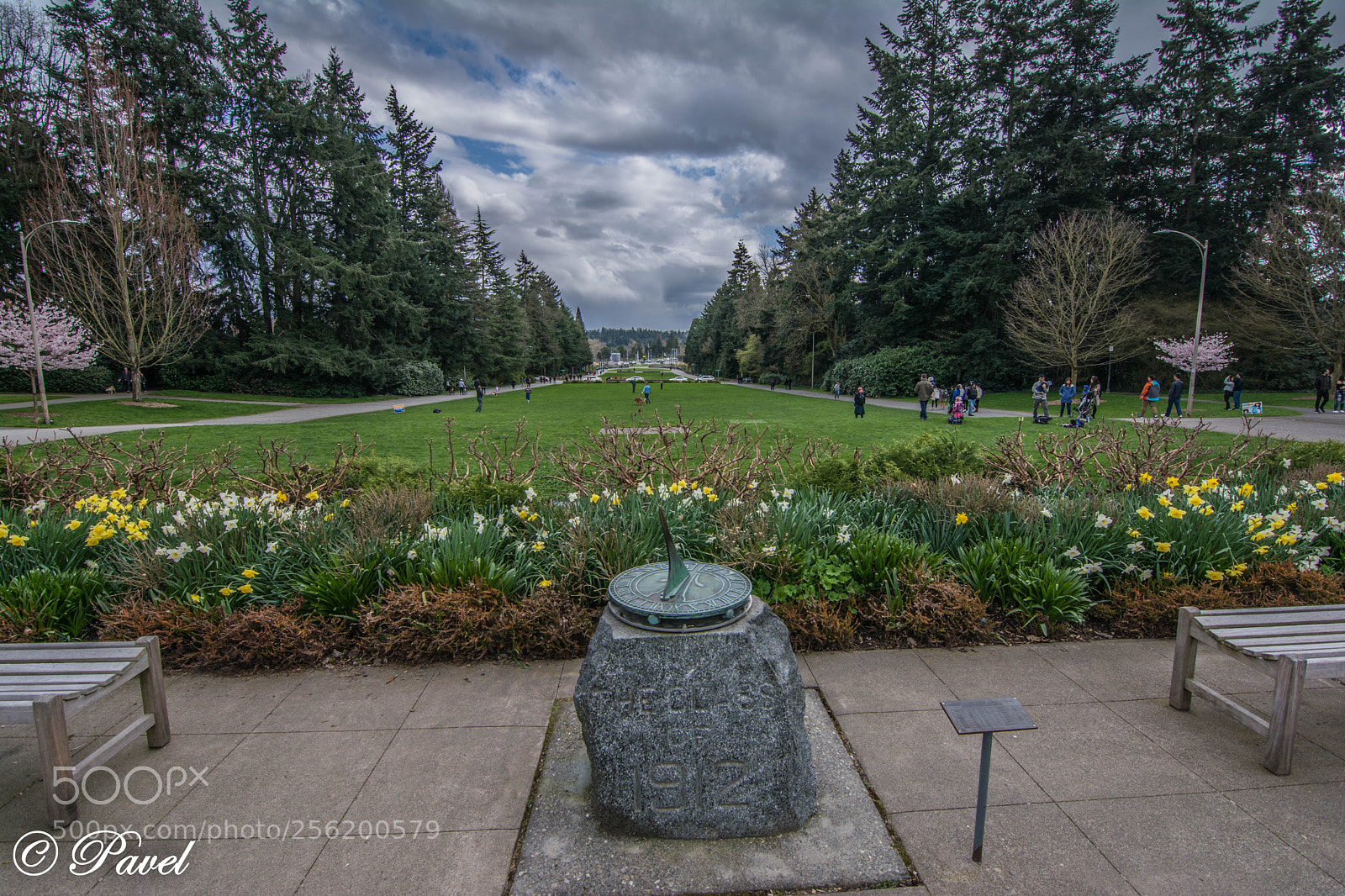 Nikon D5200 sample photo. University of washington lawn photography