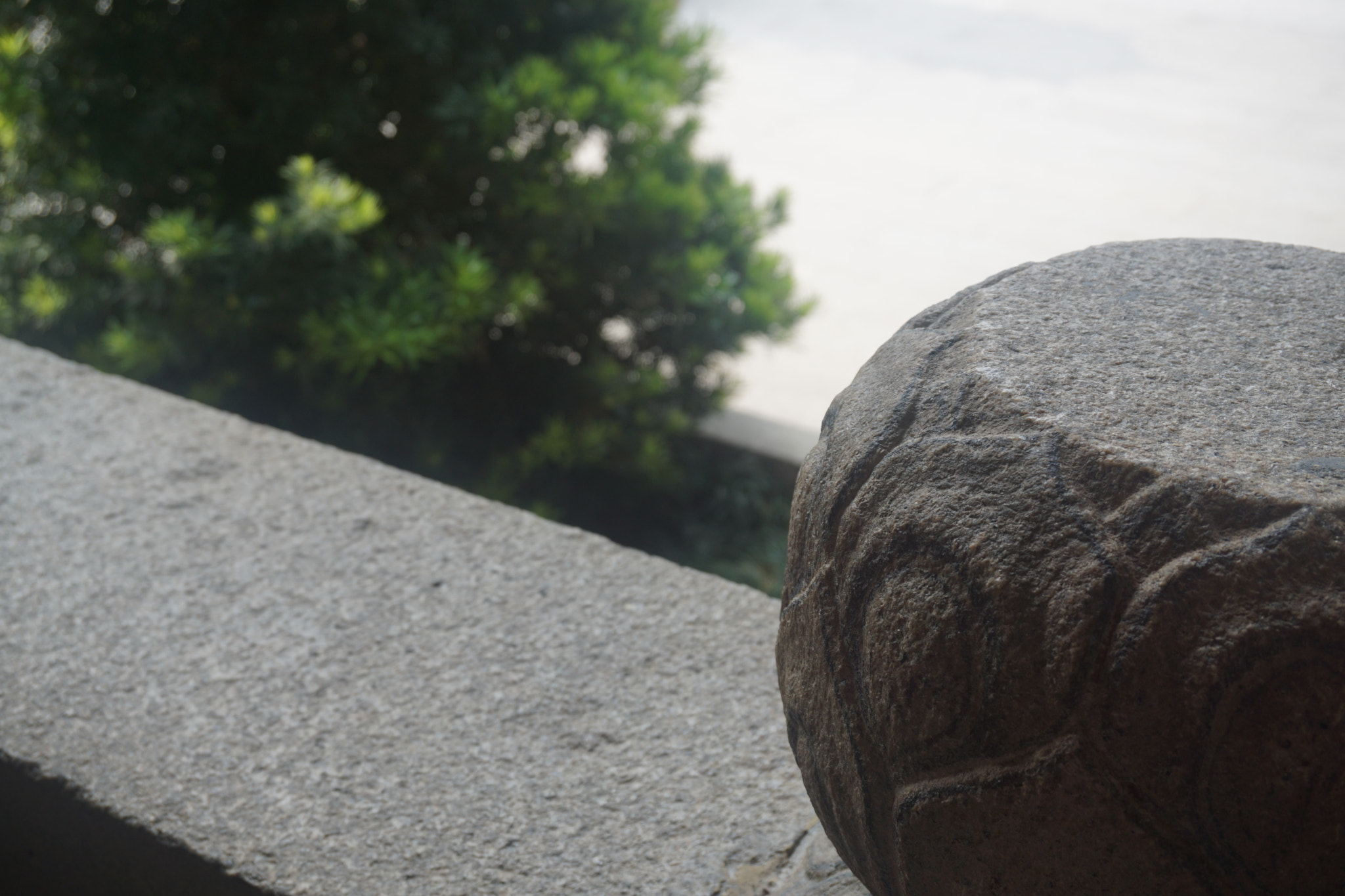 Sony E 16-50mm F3.5-5.6 PZ OSS sample photo. Dsc photography