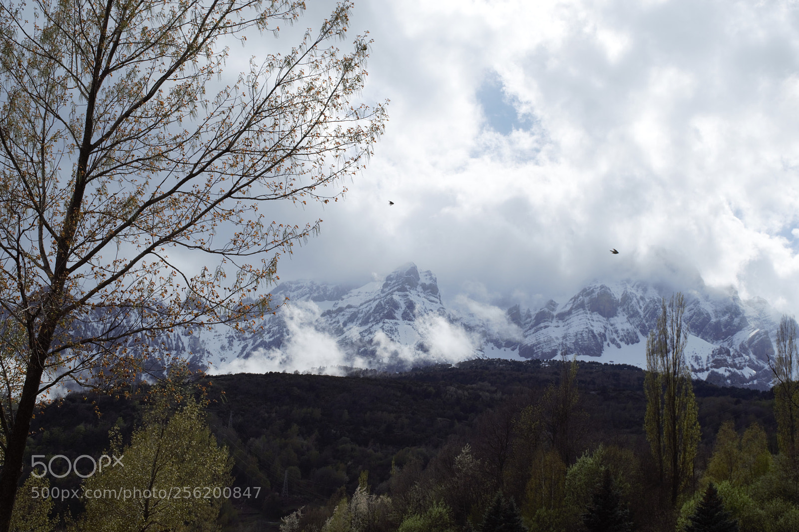 Nikon D3300 sample photo. Mountains. tena photography