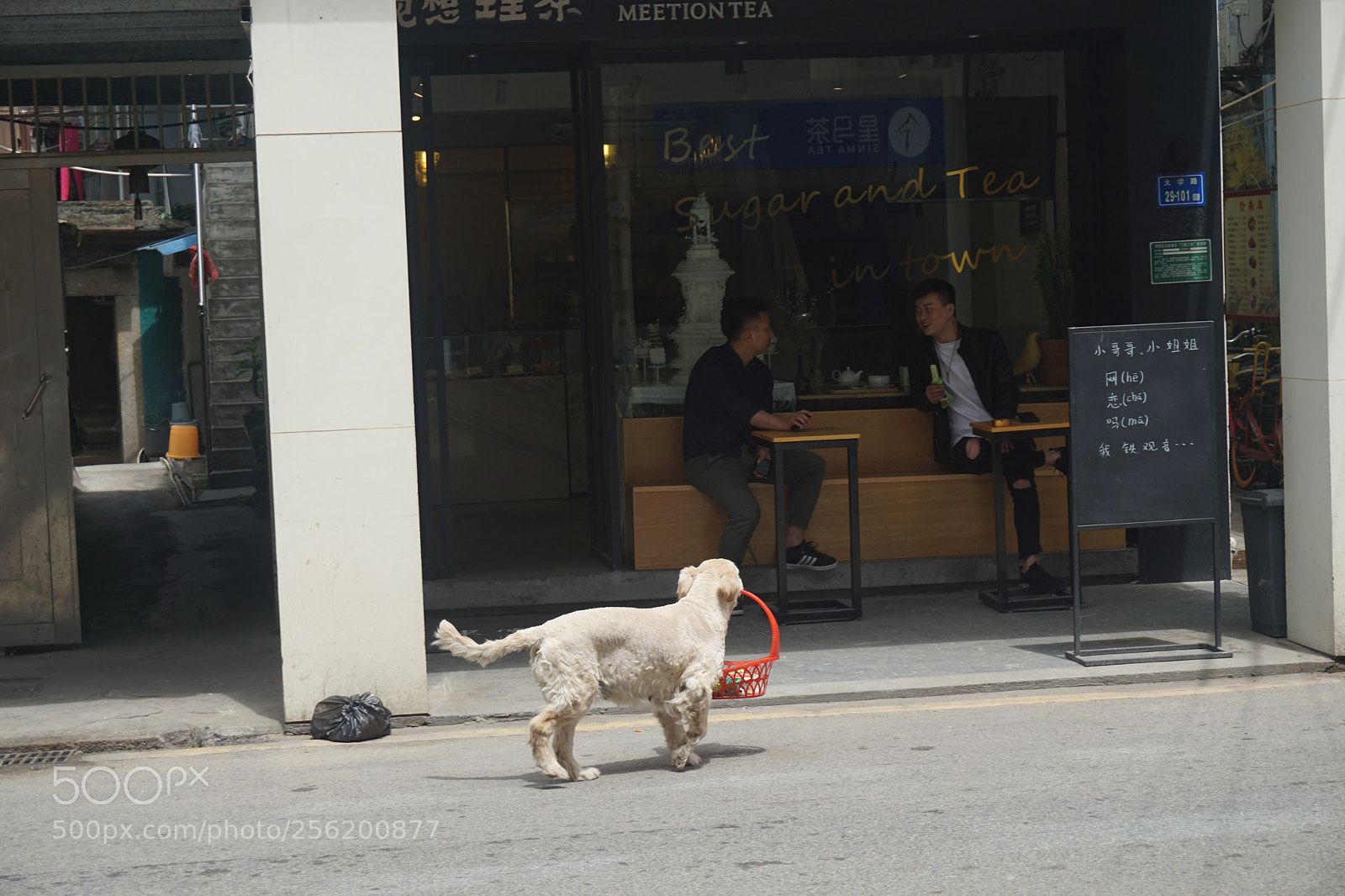 Sony a5100 sample photo. Dsc photography