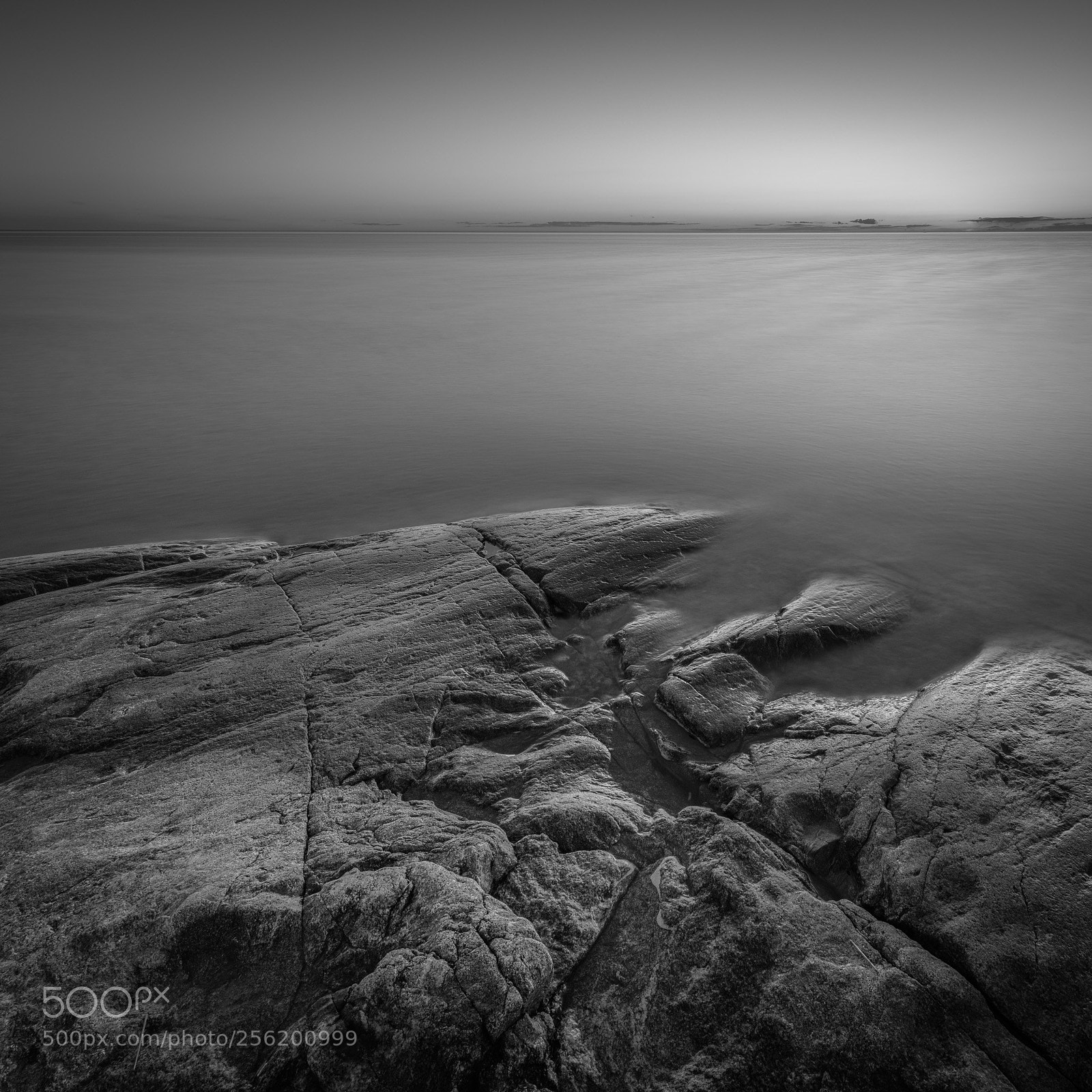 Nikon D850 sample photo. Silence photography