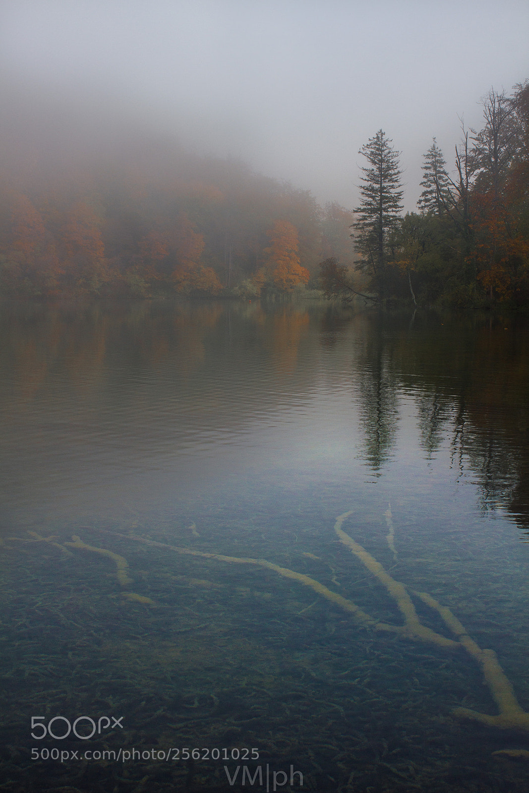 Canon EOS 550D (EOS Rebel T2i / EOS Kiss X4) sample photo. Foggy day in croatia photography