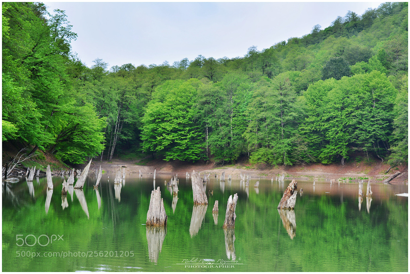 Nikon D5200 sample photo. Choret lake photography