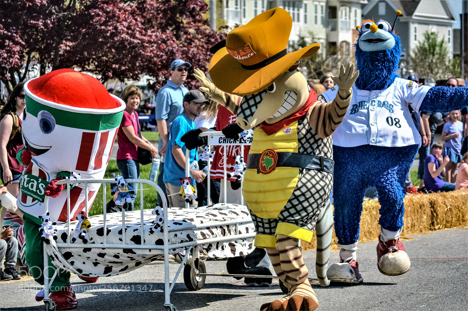 Nikon D5200 sample photo. Mascot photography