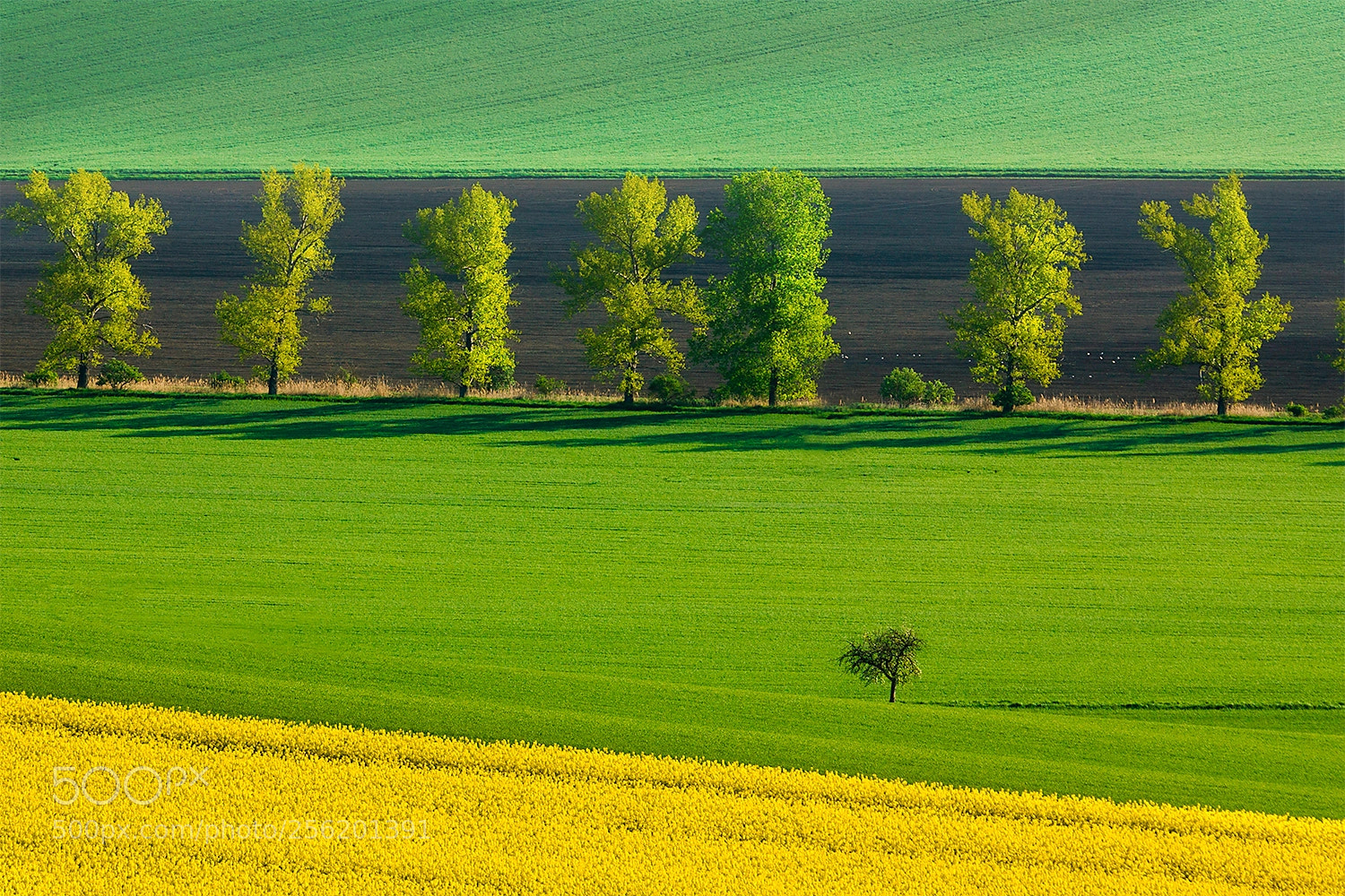 Canon EOS 50D sample photo. Moravian spring photography