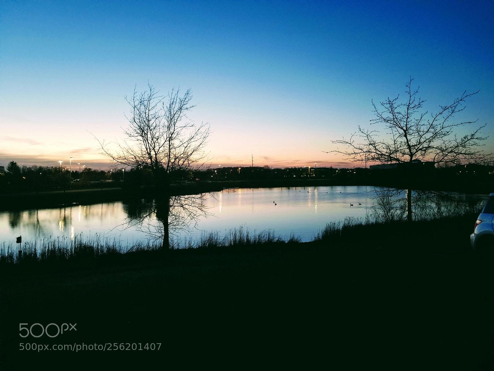 Samsung Galaxy S8+ sample photo. Lake in the eve!!! photography