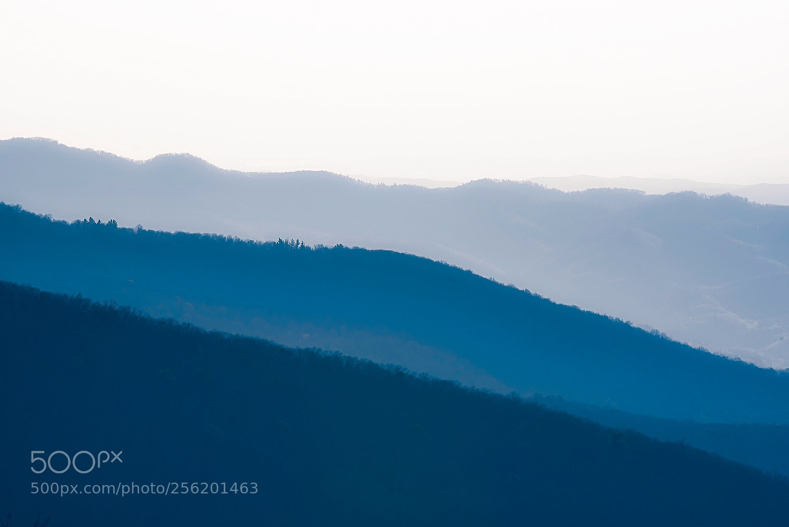 Nikon D750 sample photo. Blue ridge parkway  photography