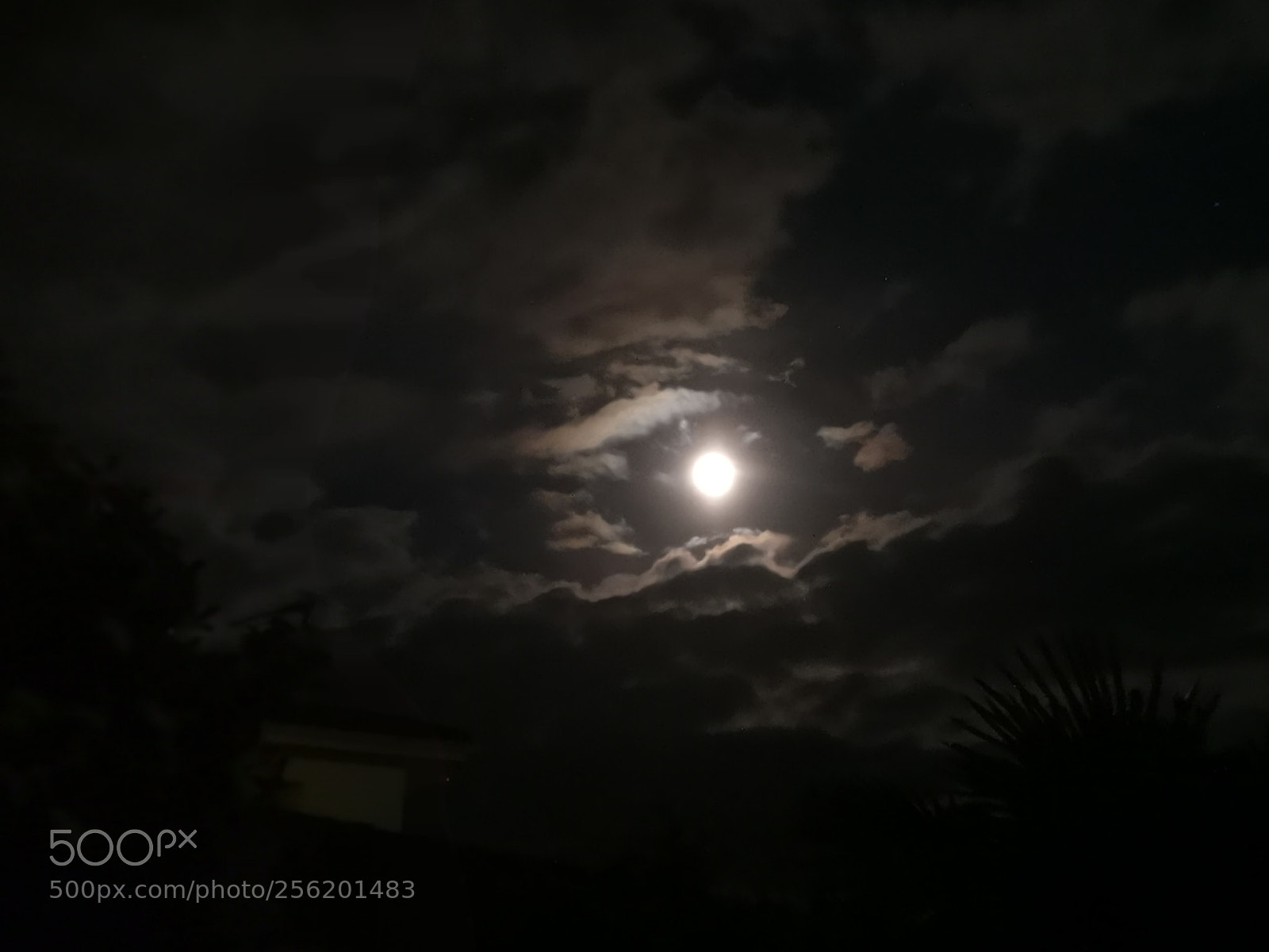 HUAWEI P20 sample photo. Untitled photography