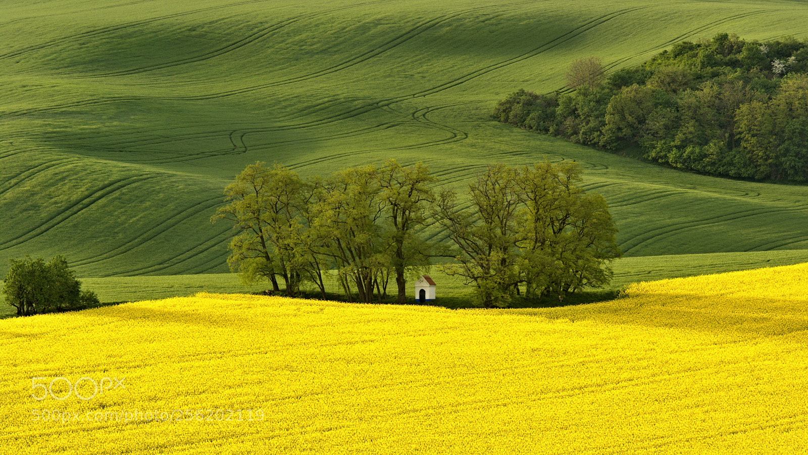 Nikon D7100 sample photo. Chapel-moravian tuscany photography