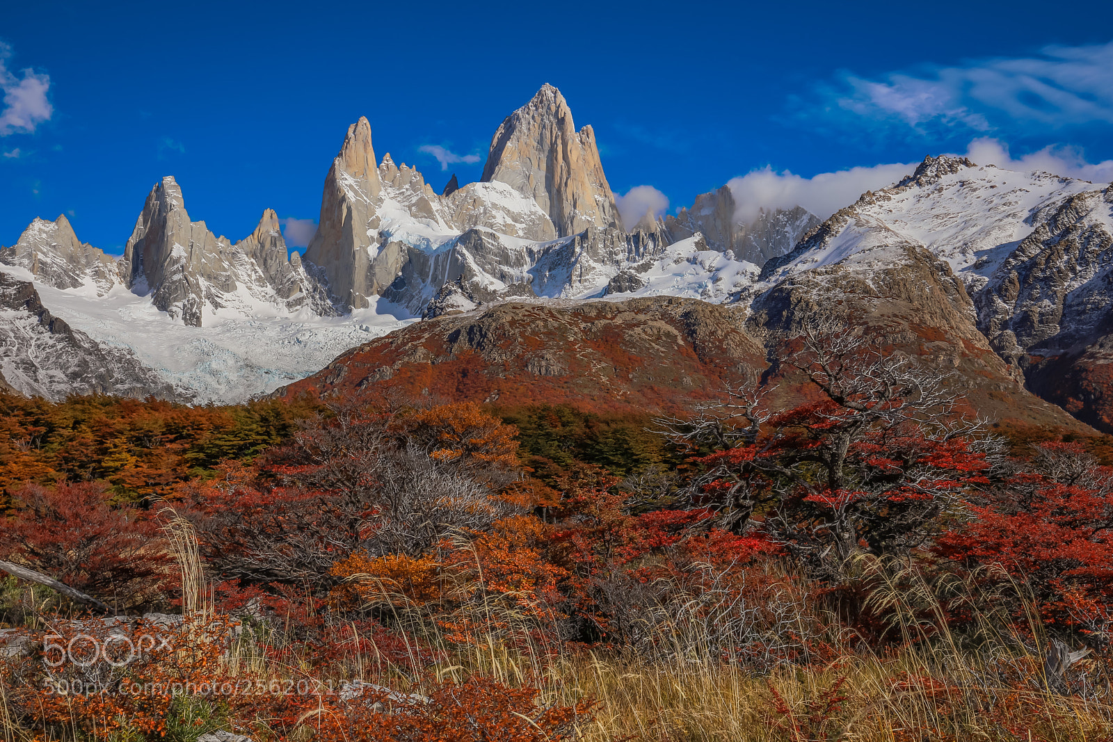 Canon EOS 5D Mark IV sample photo. Fitz roy in autumn photography