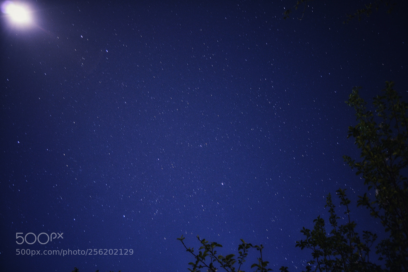 Nikon D3100 sample photo. Starry night photography