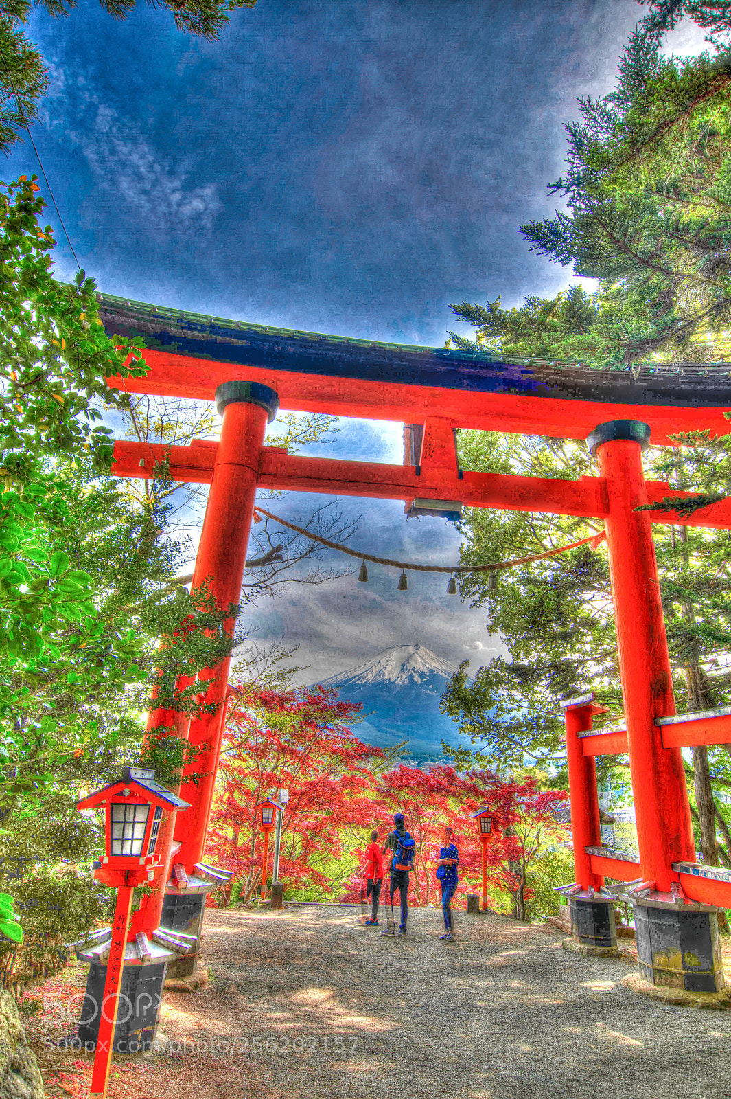 Nikon D7500 sample photo. Torii photography
