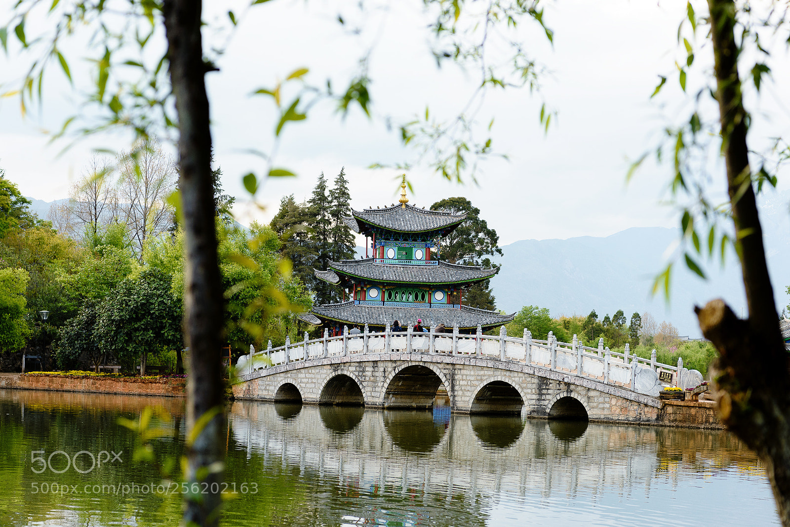 Nikon D810 sample photo. Beautiful park photography