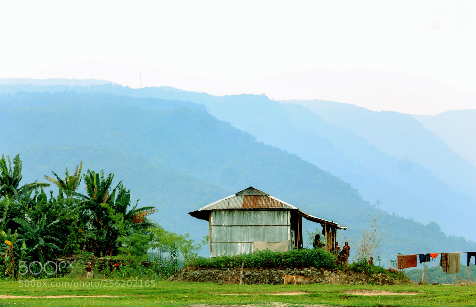 Canon EOS 700D (EOS Rebel T5i / EOS Kiss X7i) sample photo. Sylhet bisanakandi - photography