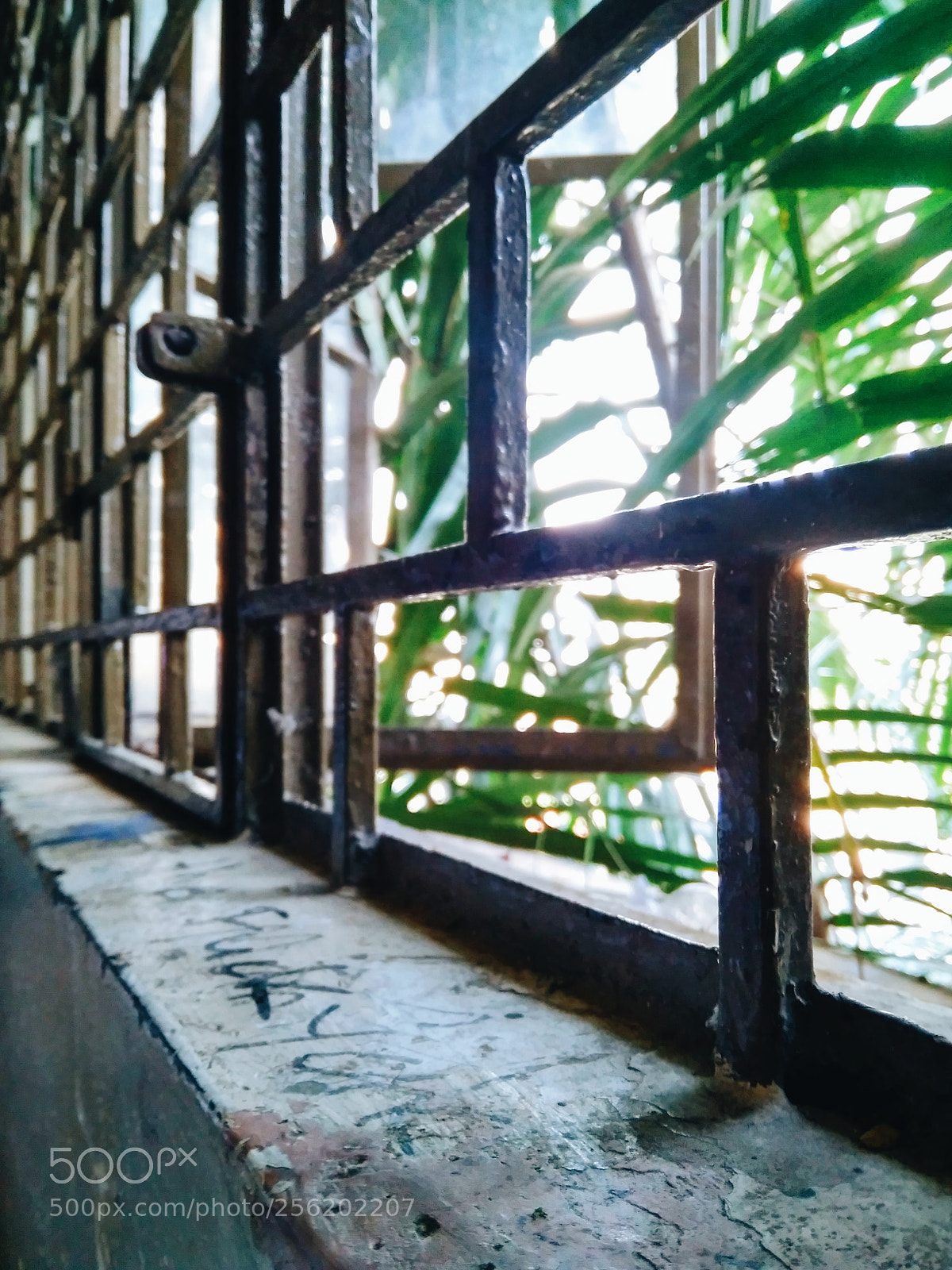 Xiaomi Redmi 4A sample photo. Abandoned place photography
