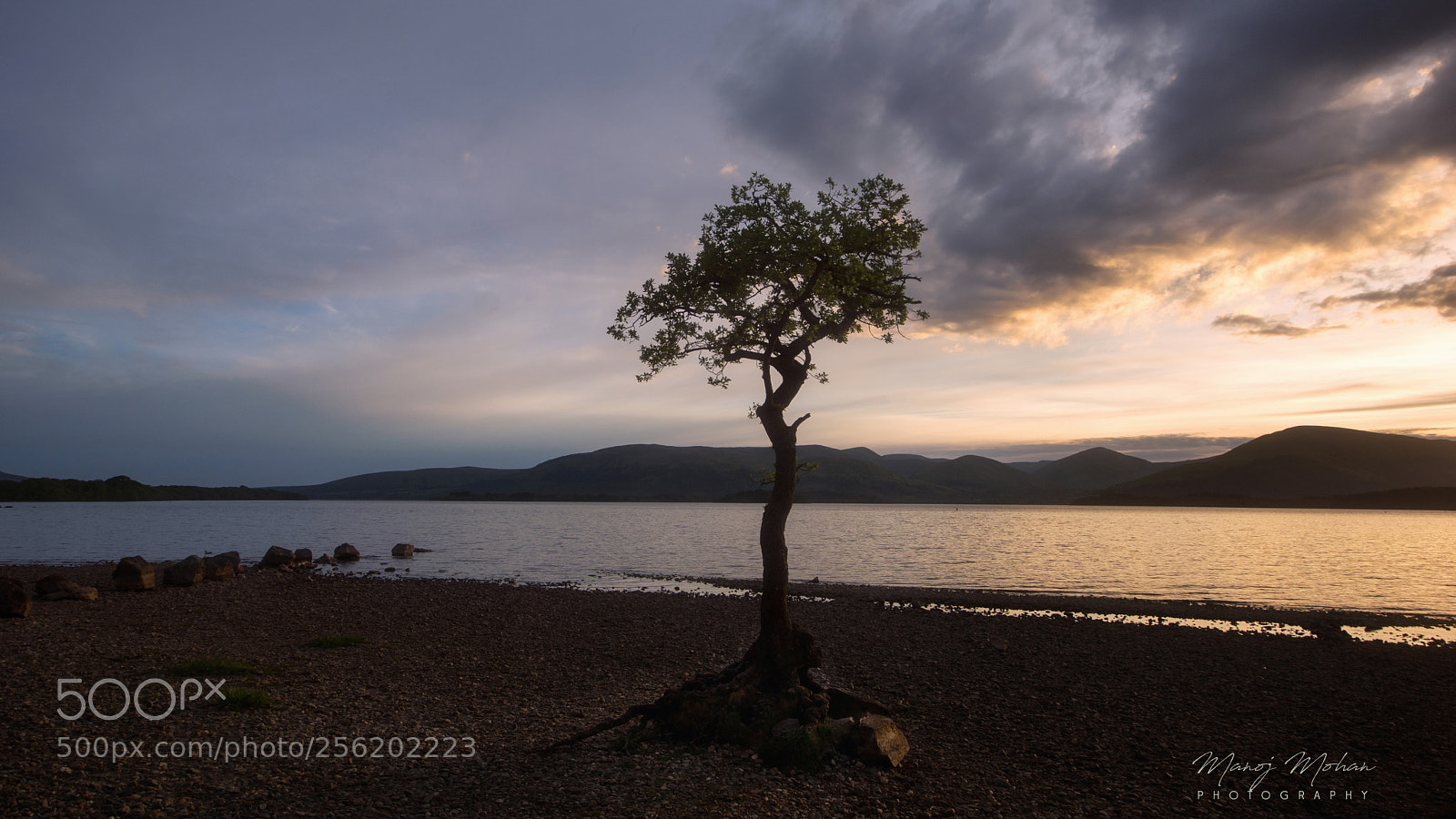 Sony ILCA-77M2 sample photo. The tree at millarochy photography