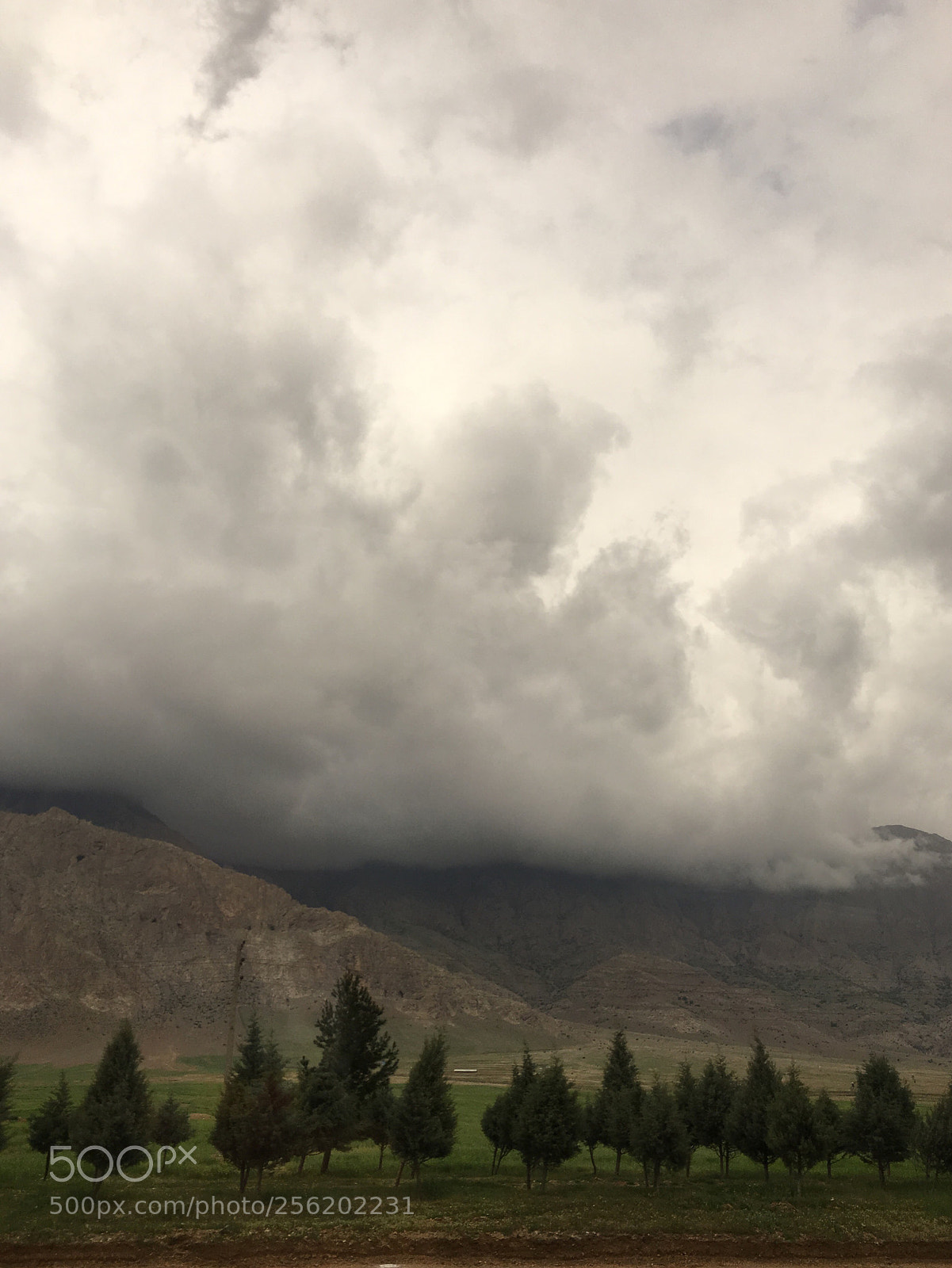 Apple iPhone 6s sample photo. ?☁️ photography