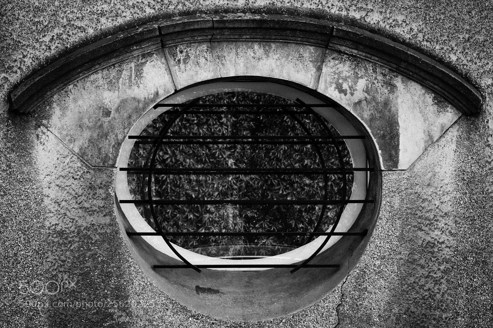 Canon EOS 80D sample photo. An eye photography