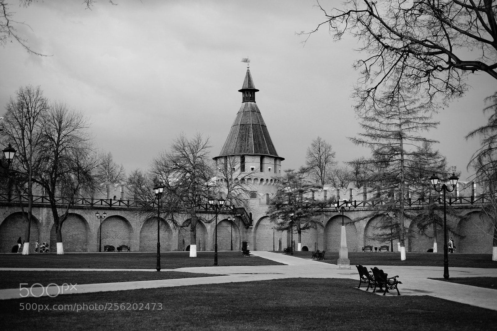 Nikon D800E sample photo. Kremlin photography