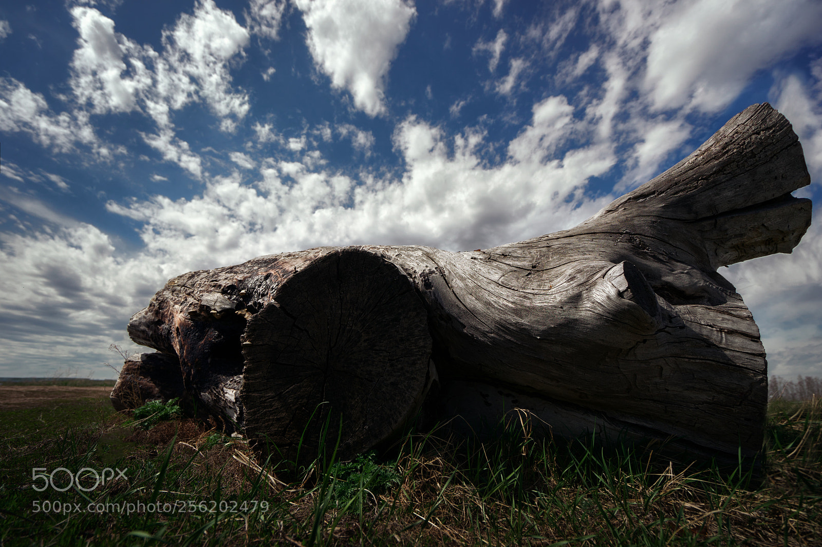 Sony a7 sample photo. Time photography