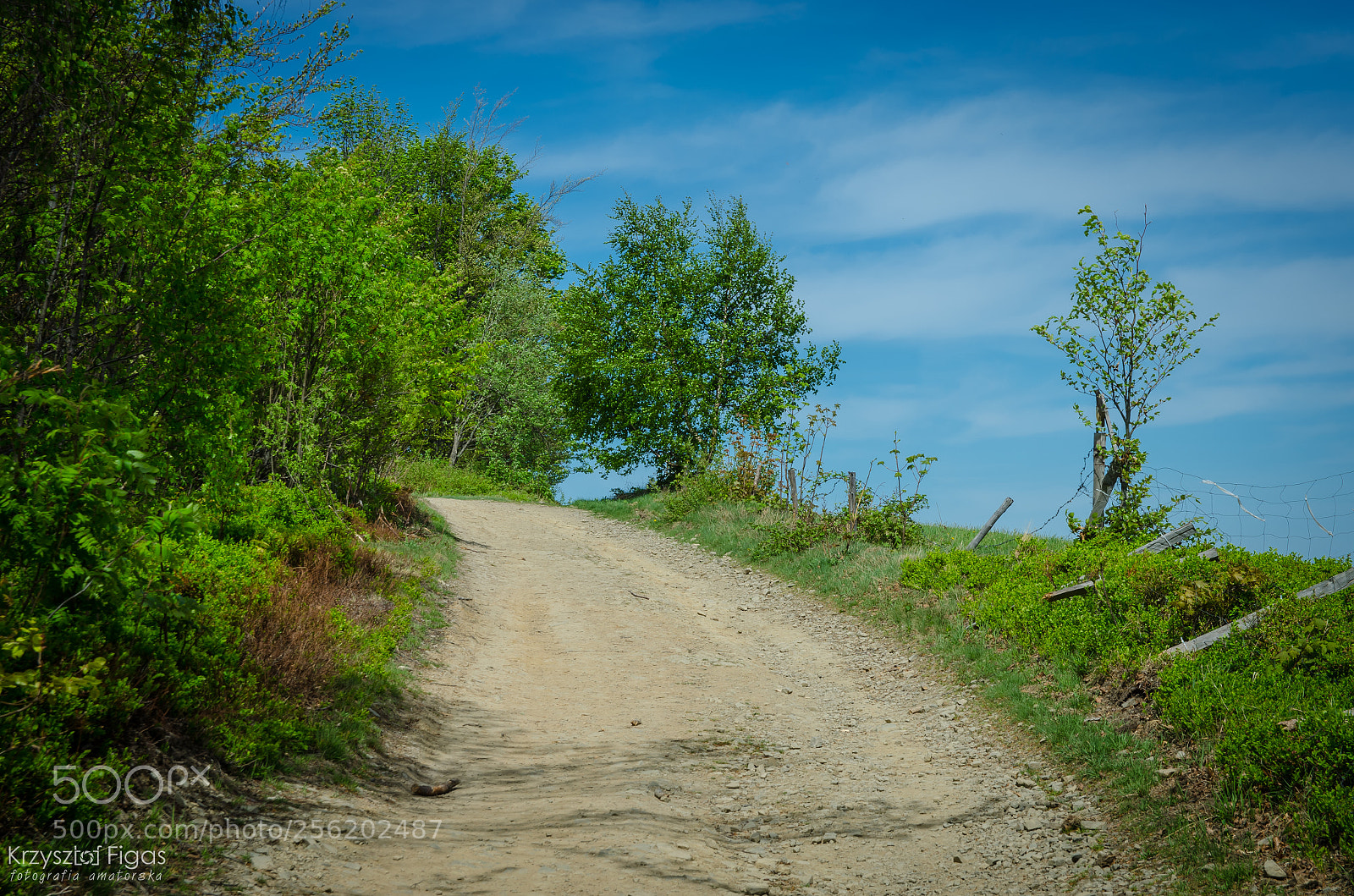 Nikon D5100 sample photo. Somewhere on the path photography