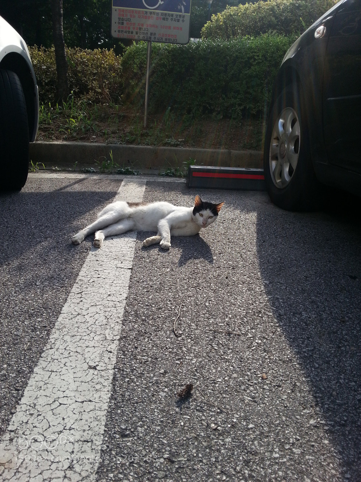 Samsung Galaxy Note2 sample photo. What's happened photography