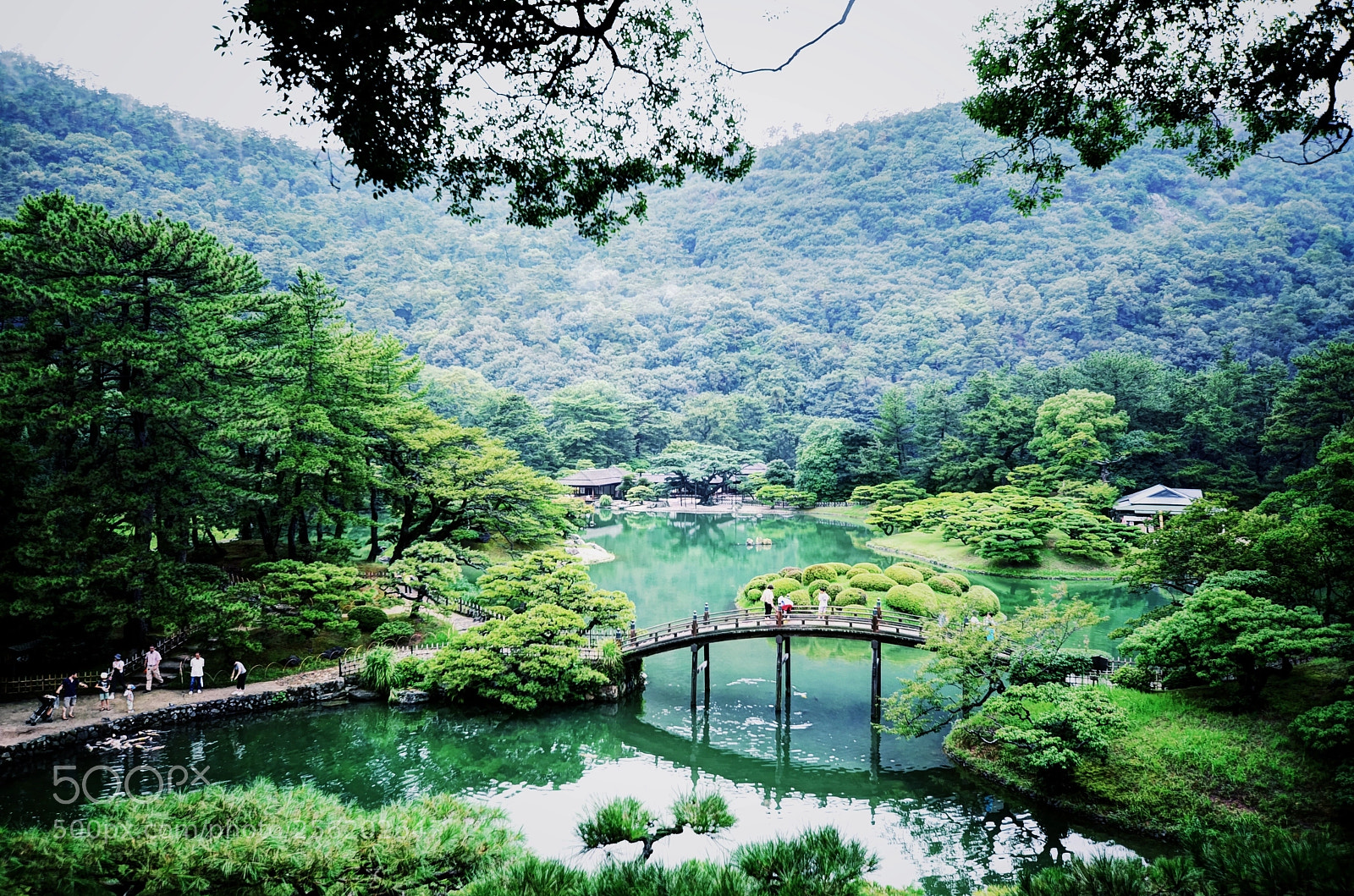 Nikon D7000 sample photo. Ritsurin garden photography