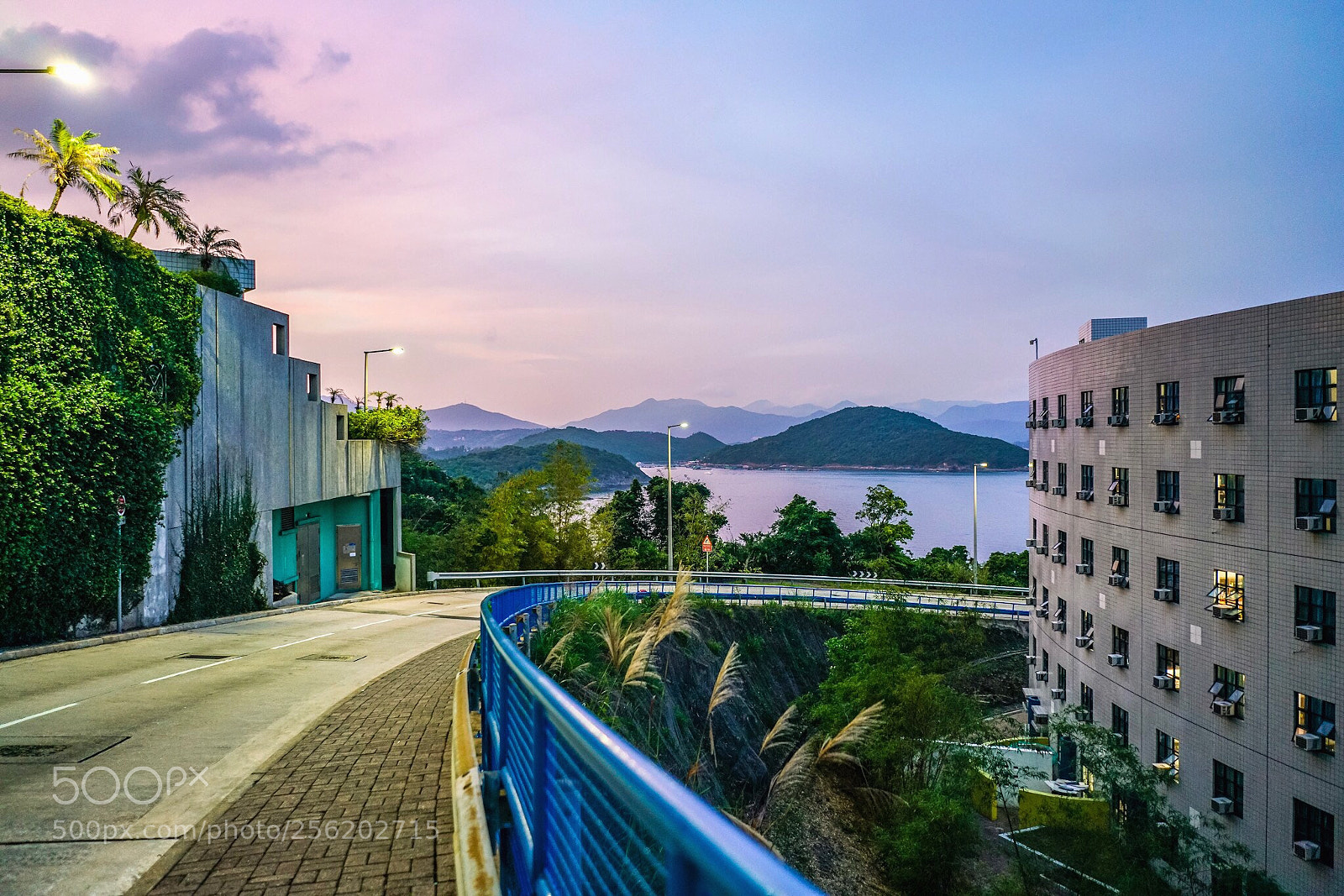 Sony a7R II sample photo. Hkust sunset photography
