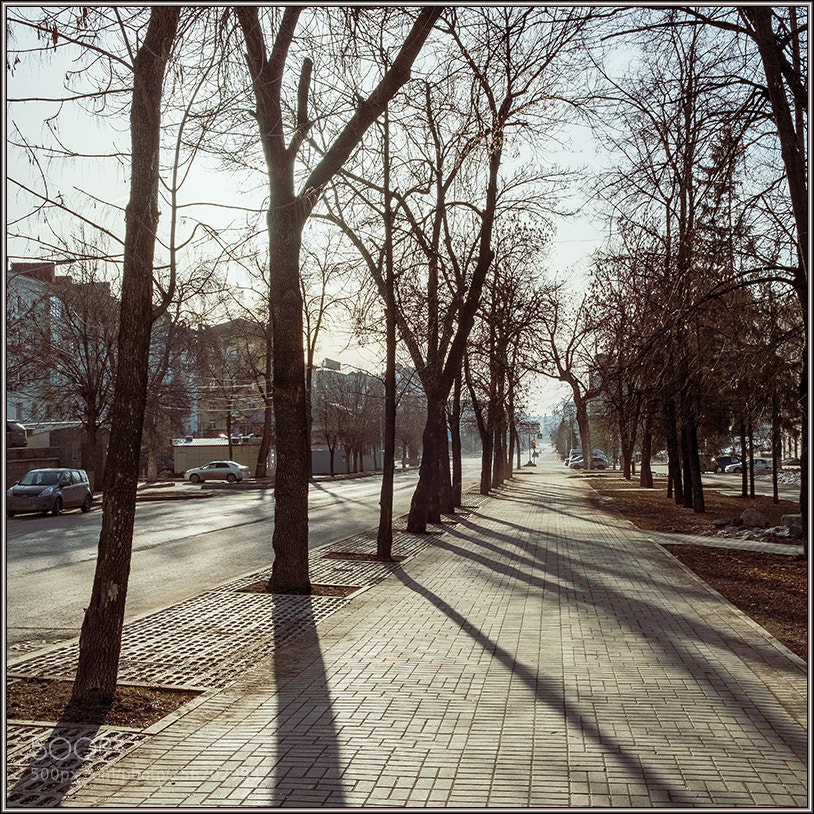 Fujifilm X-T20 sample photo. *** photography