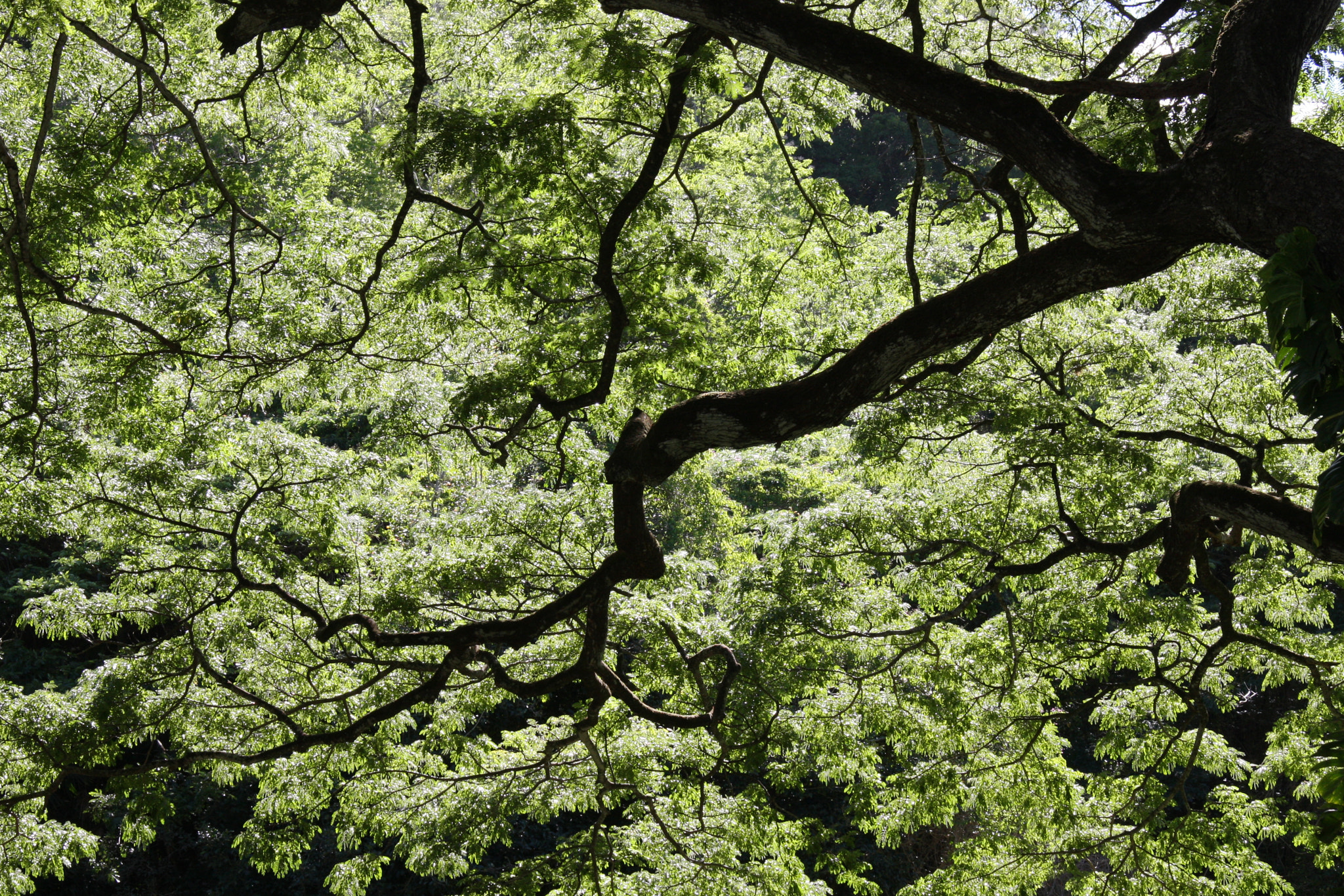 Canon EF-S 17-85mm F4-5.6 IS USM sample photo. C photography