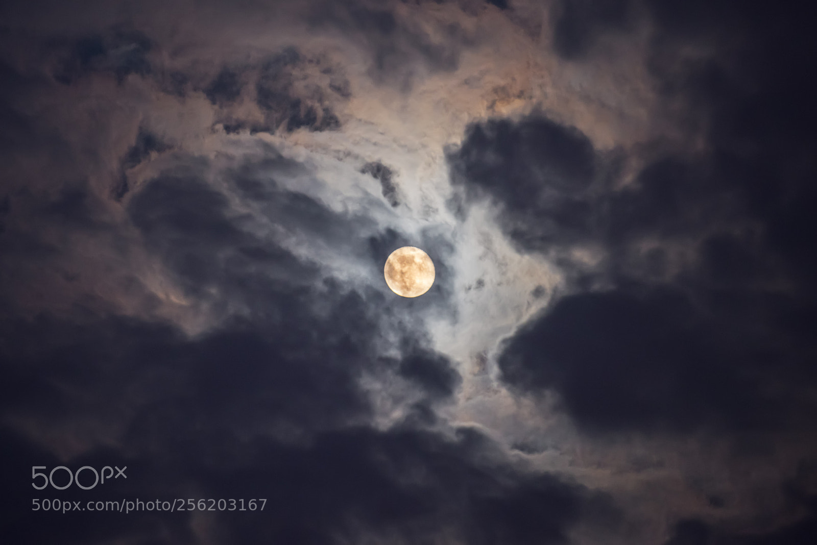 Nikon D810 sample photo. Moon photography