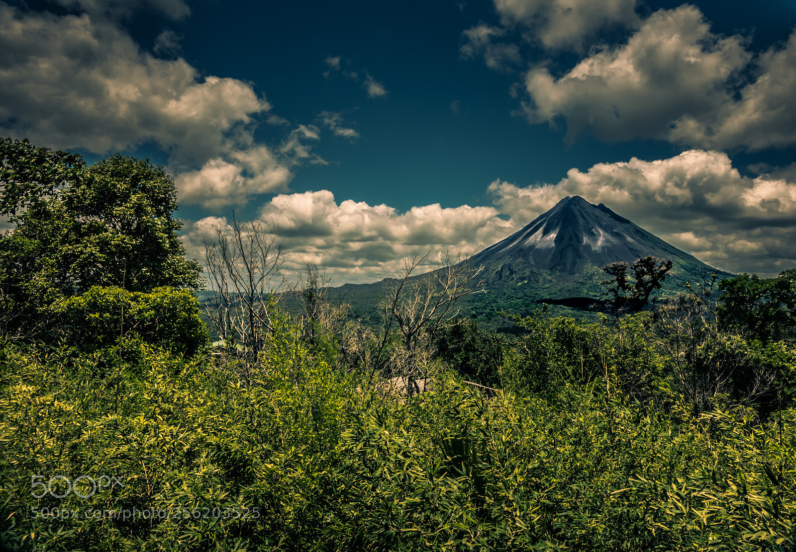 Pentax K-1 sample photo. Imgp2269--120180403123356-4.jpg photography